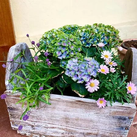 Dobre Casy - I. Apartment Banská Štiavnica