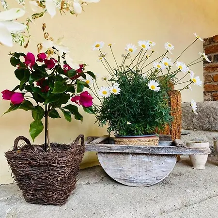 Apartment Dobre Casy - I. Banská Štiavnica