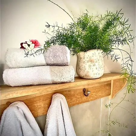 Apartment Dobre Casy - I.