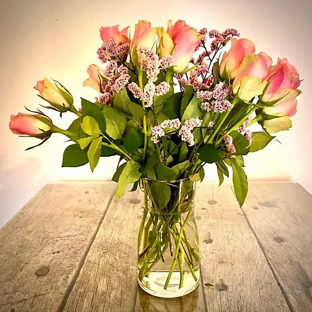 Dobre Casy - I. Apartment *