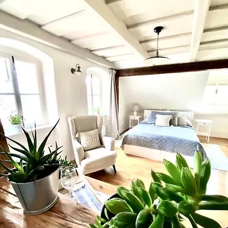 Apartment Dobre Casy - I.